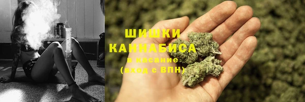 ешки Инта