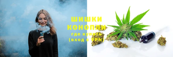 твердый Инсар