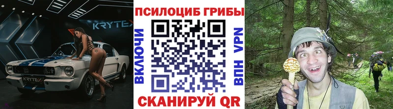 купить  сайты  Кимовск  Галлюциногенные грибы GOLDEN TEACHER 