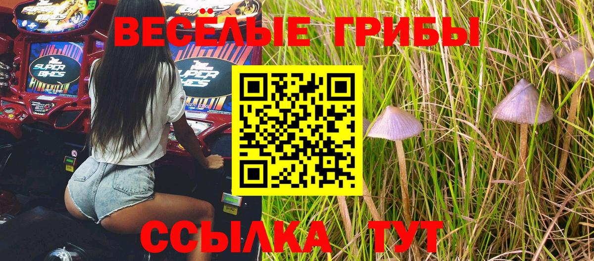 Псилоцибиновые грибы Magic Shrooms  закладки  Кимовск  Псилоцибиновые грибы мухоморы  Вход с VPN 